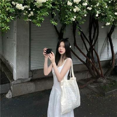 烽火芳菲封面